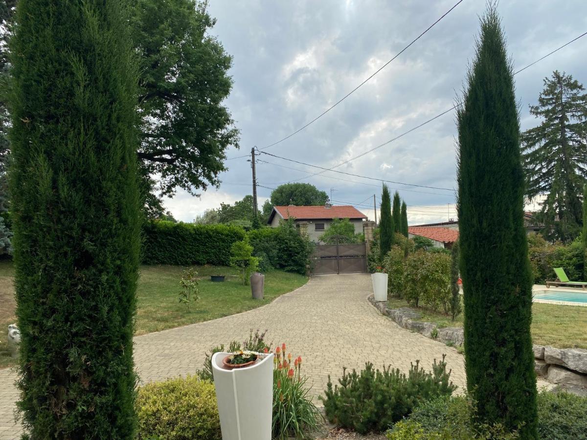 Les Berouds Otel Salaise-sur-Sanne Dış mekan fotoğraf